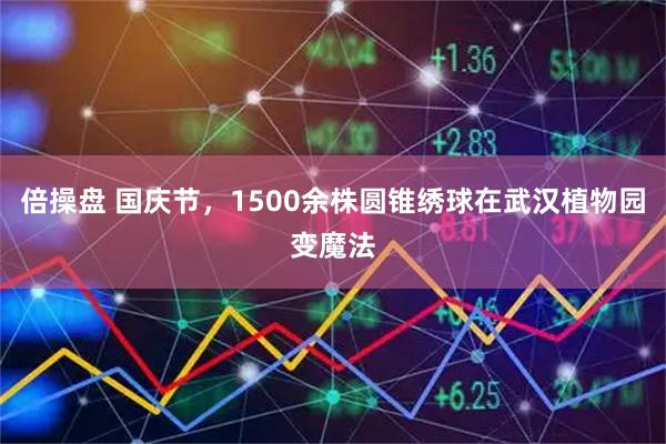 倍操盘 国庆节,1500余株圆锥绣球在武汉植物园变魔法